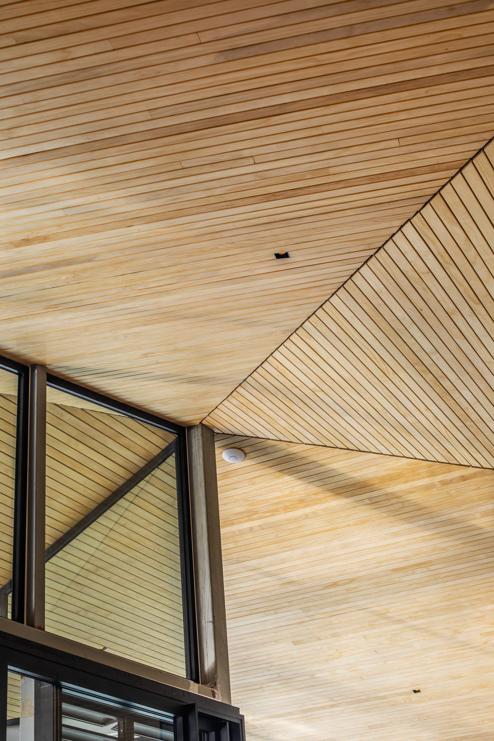 State of Architecture plafond villa